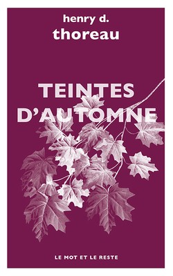 Teintes d'automne - poche